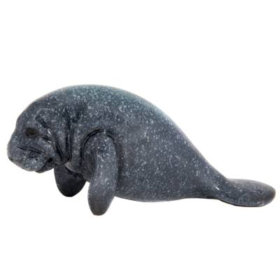BLUE MANATEE 7"