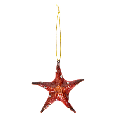 ORNAMENT-STARFISH